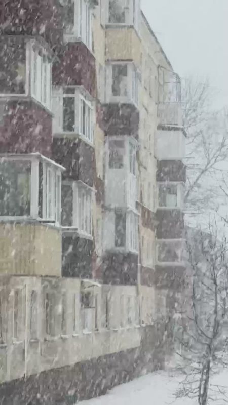 ������� � ����������� ������ � ����-���������� � ������ ���� ����