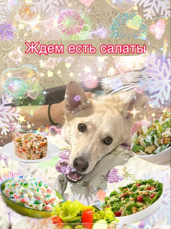 Оливье на новогоднем столе — база?