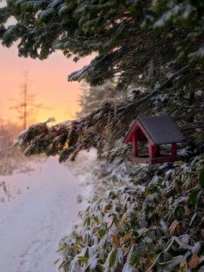 Мороз и солнце, день чудесный!