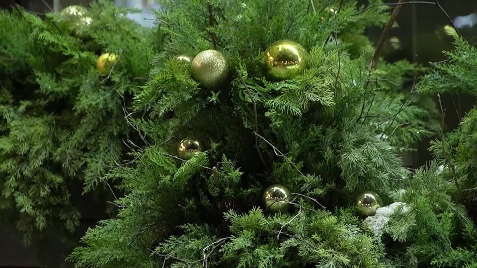 � ��������� ������ �������� ������� �������������� ����������