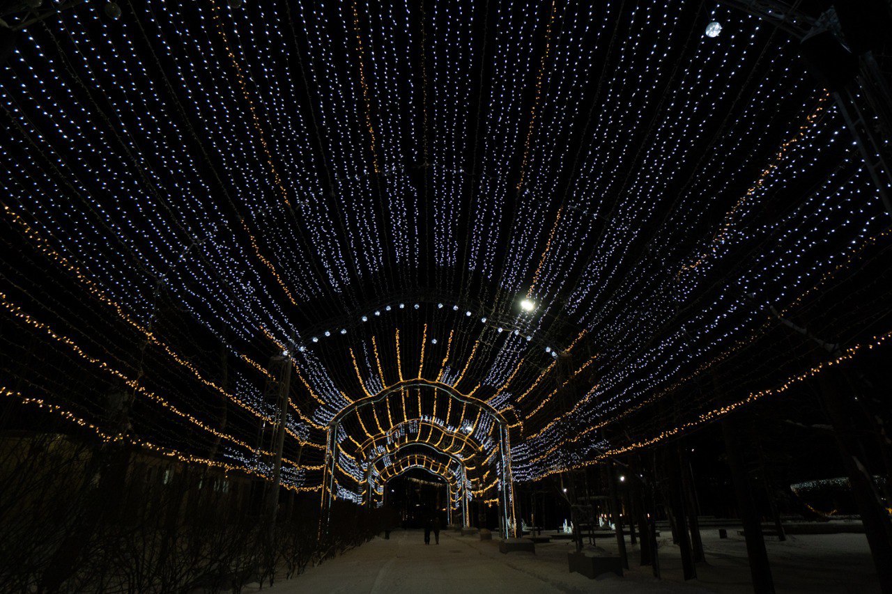 Десять елей украсят Южно-Сахалинск к Новому году Десять елей украсят Южно-Сахалинск к Новому году