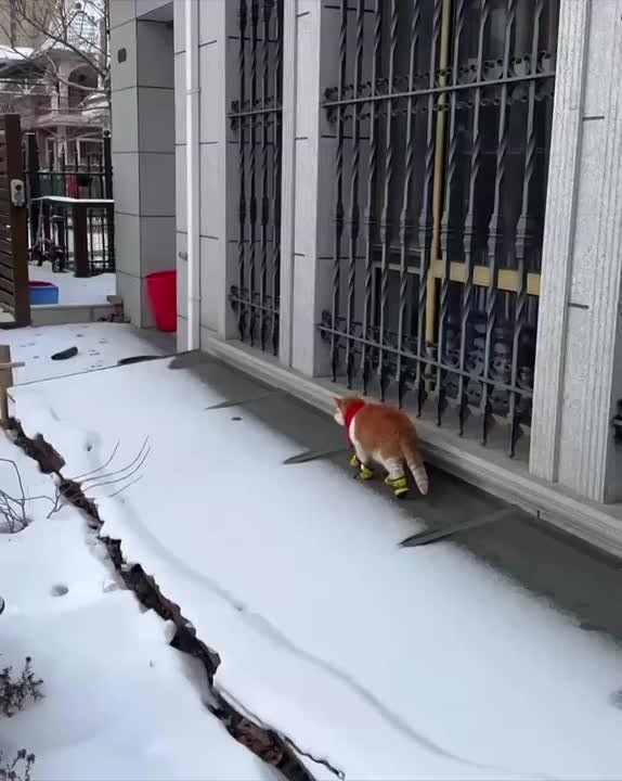 Доброе утро. В этот день наши предки следили за природными явлениями, пытаясь угадать, какой будет погода