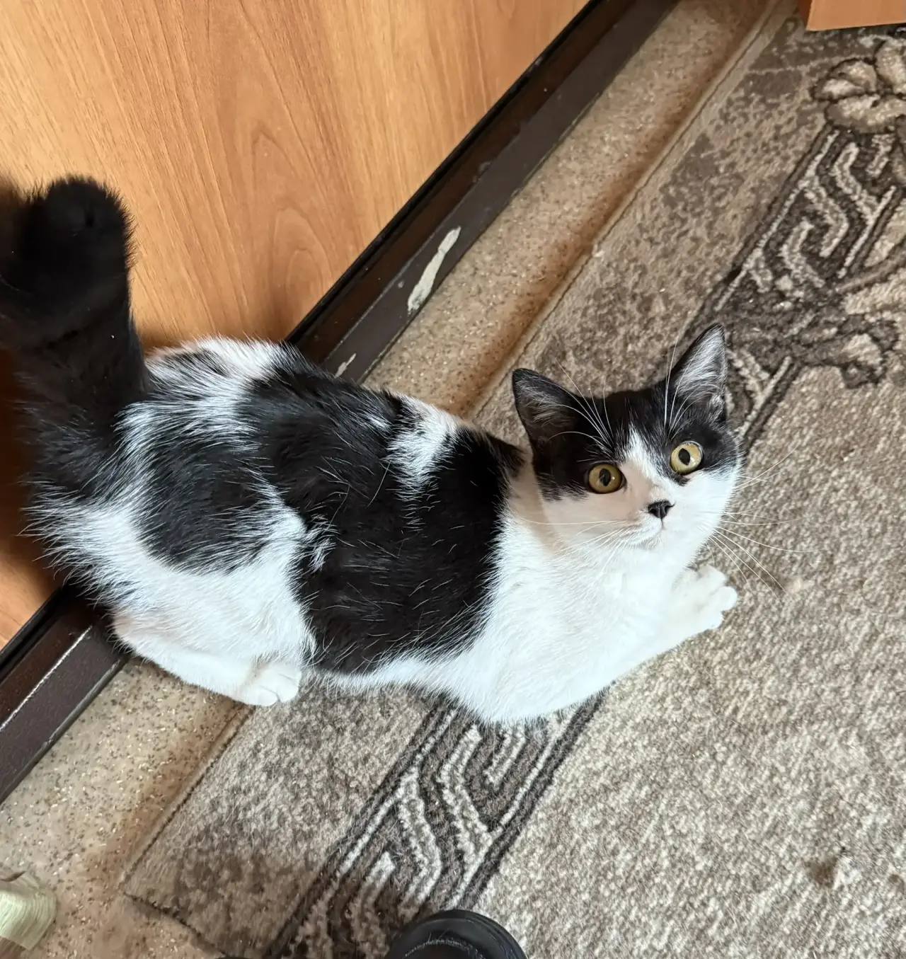 Двухкомнатную квартиру от предприятия выделили бывшему бойцу СВО, который сейчас учится обслуживать турбинное оборудование на ГРЭС-2 Двухкомнатную квартиру от предприятия выделили бывшему бойцу СВО, который сейчас учится обслуживать турбинное оборудование на ГРЭС-2