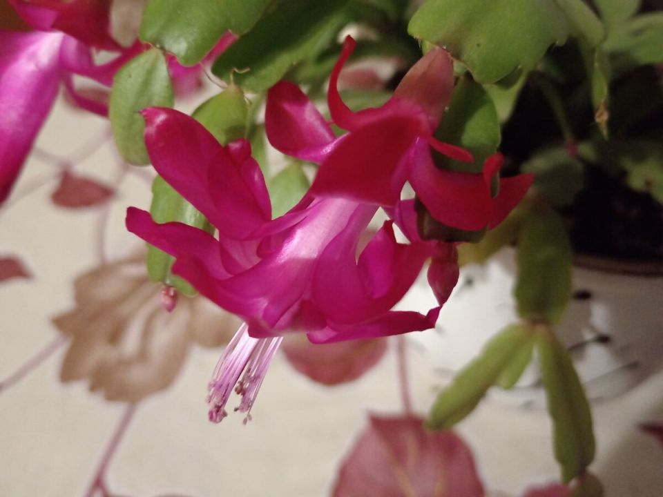 ������ ��������� ������������ ������: �������� ������ � �����