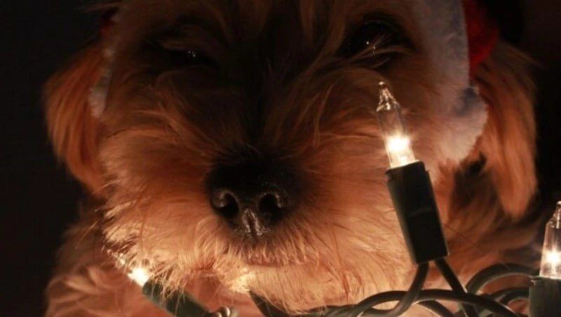 Психиатрическая больница и 12 домов в Южно-Сахалинске остались без света 4 декабря