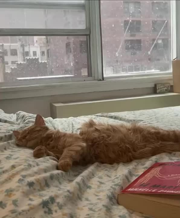 Доброе утро. На Руси 4 декабря начиналась настоящая зима, а с ней – сезонные ярмарки