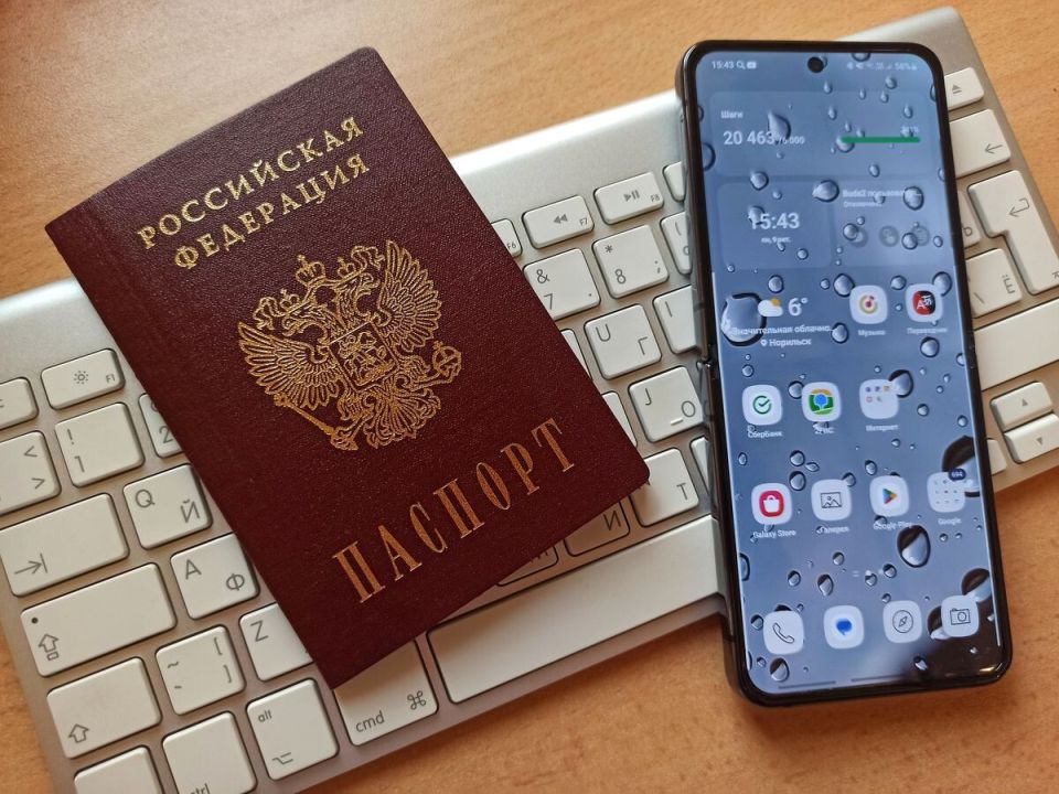 Цифровые паспорта: как смартфон меняет повседневную жизнь россиян