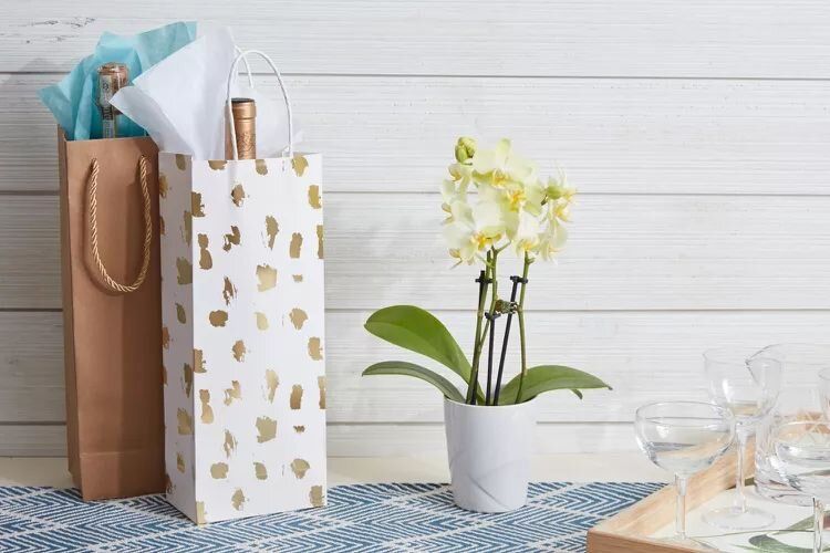 Как стать идеальным гостем: секреты удачного визита