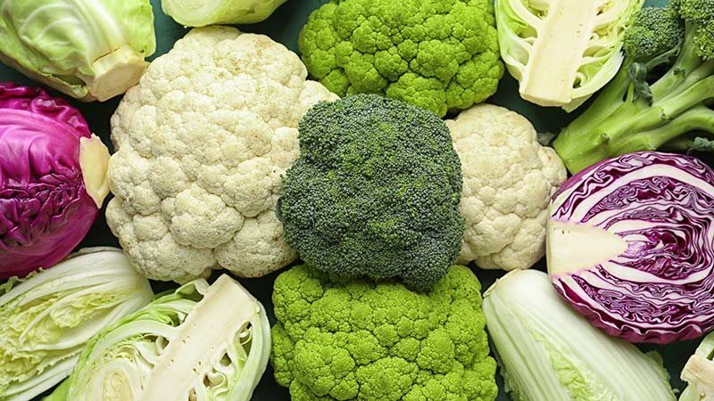 Секреты успешного посева капусты в мае