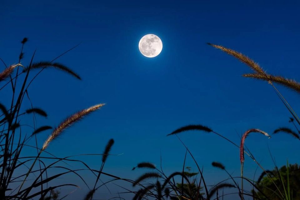 Лунный календарь сентября 2025: астрологические предсказания