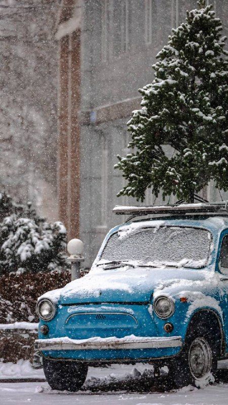 Вьюжный Южный. Ставьте сердечки островной столице @yulia_guslyakova ———