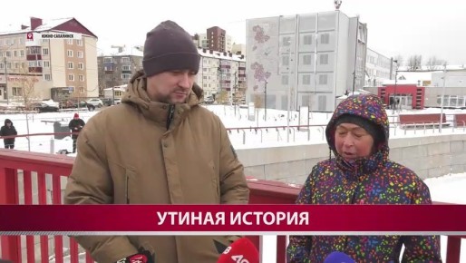 Поселившаяся в южно-сахалинской реке утка отказалась спасаться