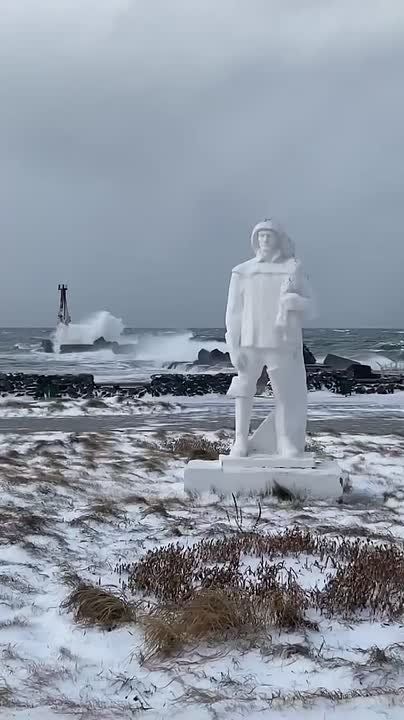 Красиво волнуется море. Захватывающие кадры были сняты в Холмске на побережье Татарского пролива в середине ноября