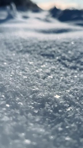 Доброе утро!. Сегодня день добровольца (волонтера) в России В этот день родились поэты Фёдор Тютчев (1803 – 1873), Афанасий Фет (1820 – 1892), живописец Константин Коровин (1861 – 1939), актриса Нина Русланова (1945 – 2021)...