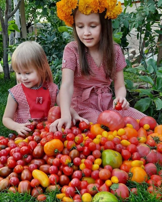 Как сделать свой участок более благоприятным: неожиданные советы
