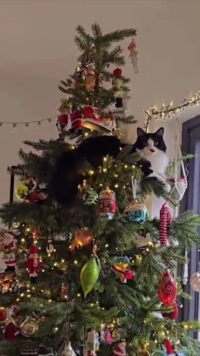 Доброе утро. На Руси тёплая погода на 5 декабря предвещала снежную и продолжительную зиму