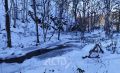 Немного снежно и до +7°C: прогноз для Сахалинской области на 7 декабря