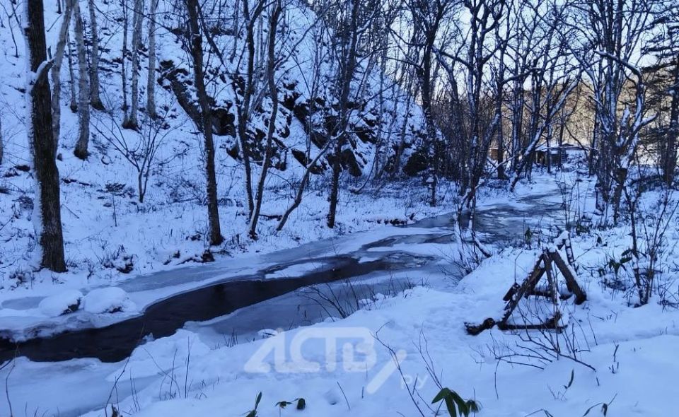 Немного снежно и до +7°C: прогноз для Сахалинской области на 7 декабря