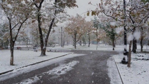 Философия снега. Главный редактор газеты «Губернские ведомости» Татьяна Лукина — о том, как первый снег переворачивает привычный мир и стирает память о лете