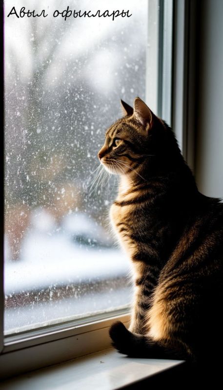 � ������� ����������� ������������ ��� ������ �������� ��������