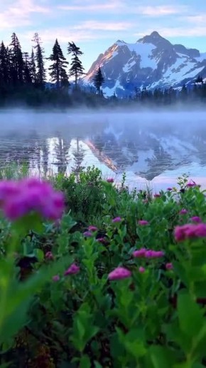  !.               (1957  2005)     (1958)