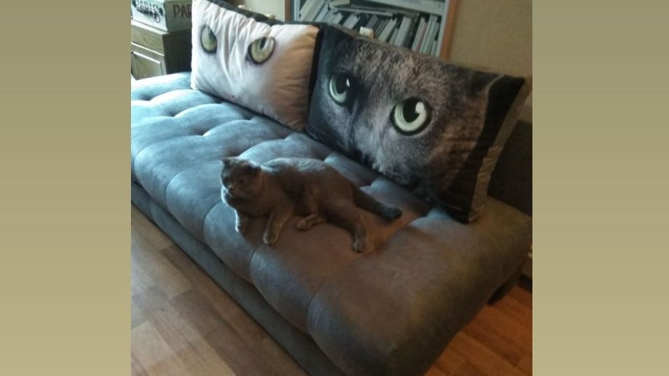 Секреты легкой уборки: как с помощью подручных средств вернуть дивану безупречный вид