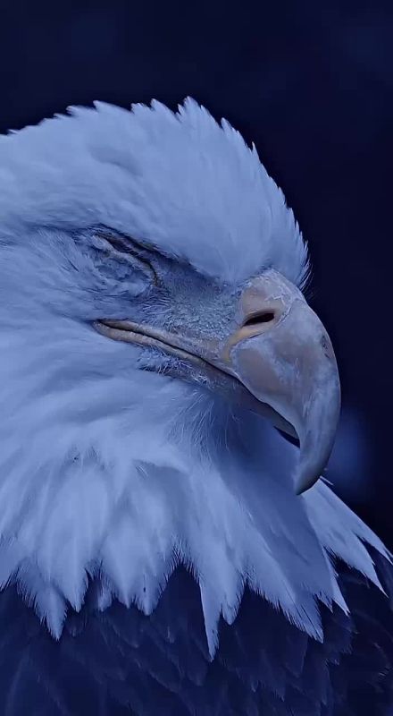 Доброе утро!. Сегодня Международный день гражданской авиации В этот день родились музыкант Сергей Мазаев (1959) и актриса Стелла Ильницкая (1964)