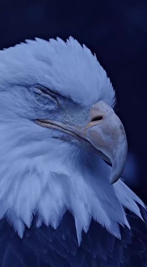  !.             (1959)     (1964)