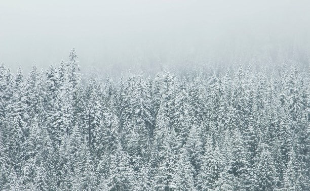 Снежно и пасмурно: прогноз погоды в Сахалинской области на 8 декабря