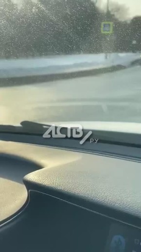 Рыжую красавицу второй день наблюдают в Южно-Сахалинске