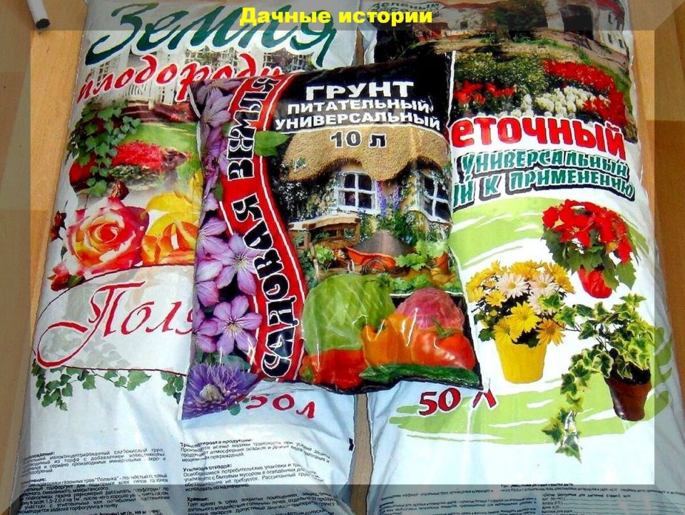 Проверка качества грунта для рассады: секреты, которые должен знать каждый садовод