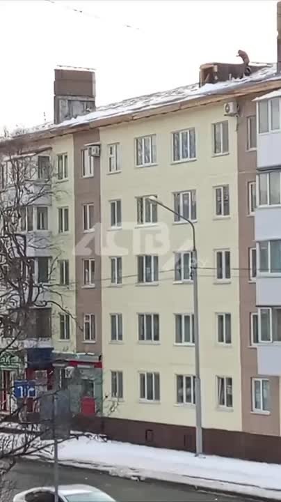 #аствпишут, что рабочие не соблюдают технику безопасности при расчистке крыши дома №74 по улице Чехова в Южно-Сахалинске