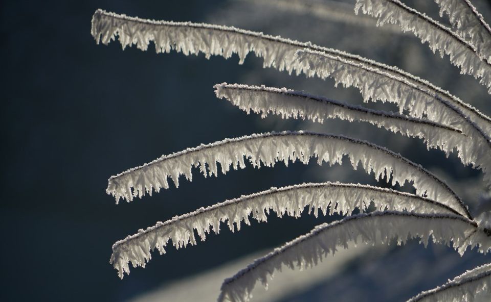 ������ ����������� ��������������� �� ��� ��������