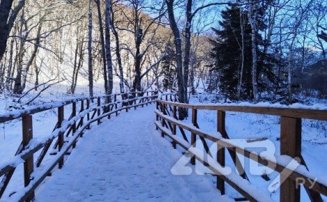 Туман опустился на Южно-Сахалинск: днём ожидают плюсовую температуру