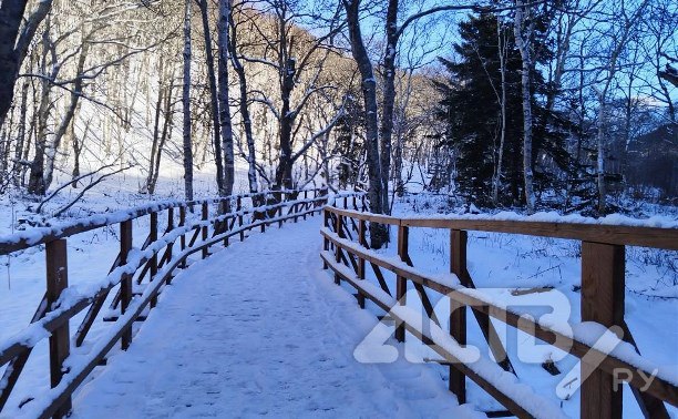 Туман опустился на Южно-Сахалинск: днём ожидают плюсовую температуру
