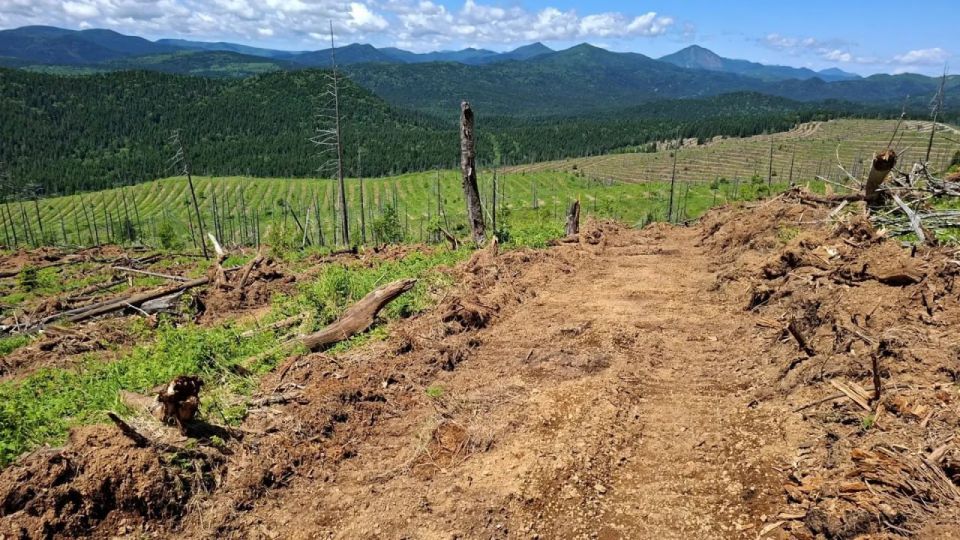 ����������� �������� ������������� ���� �� �������������� ����� �� 95%