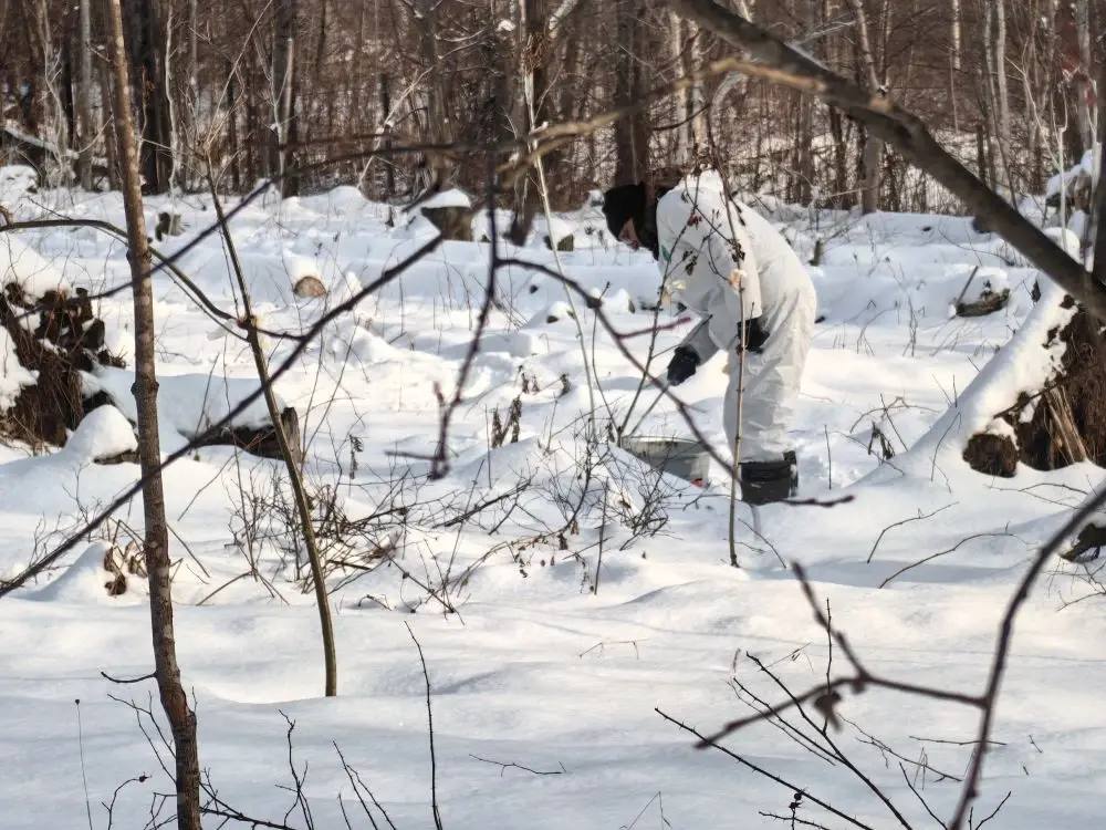 Ботанический сад в Южно-Сахалинске засыпает… Но работа кипит!