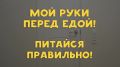 Мытье рук перед едой — это не просто рекомендация, а необходимая мера предосторожности!