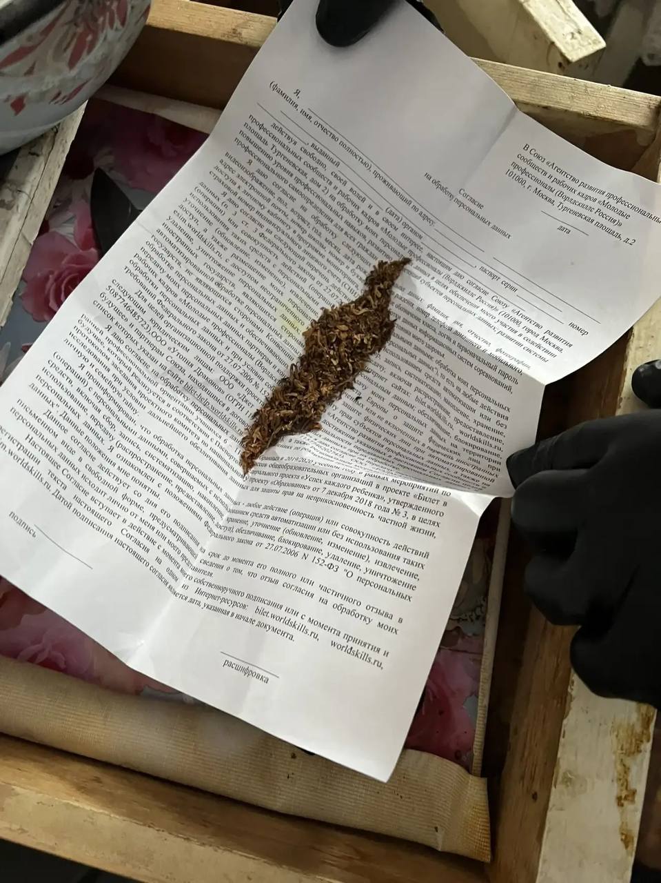 В Углегорске полицейскими у местной жительницы изъяты наркотические средства в крупном размере В Углегорске полицейскими у местной жительницы изъяты наркотические средства в крупном размере