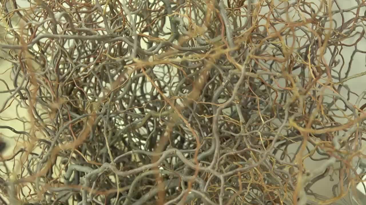 Сотрудники сахалинского совхоза создали новогодние композиции в японском стиле