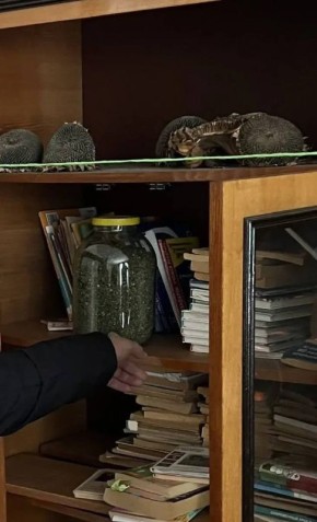 В Углегорске полицейскими у местной жительницы изъяты наркотические средства в крупном размере