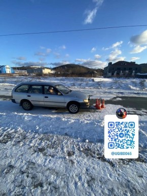 в Томаринском районе. 5 декабря 2025 года в 08 часов 00 минут в районе дома №4, ул. Железнодорожная, с. Ильинское произошло дорожно-транспортное происшествие