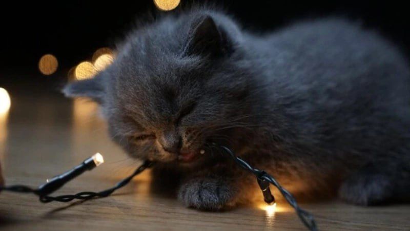 Сотни жителей Южно-Сахалинска проведут без света 8 декабря