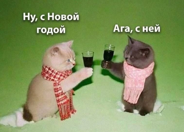 � � ��� �� ������ ����� ���������� ����������?