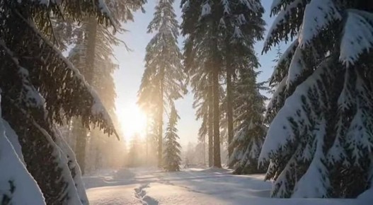 Доброе утро!. Сегодня День Героев Отечества в России В это день родились актрисы Татьяна Кравченко (1953) и Екатерина Варнава (1984)