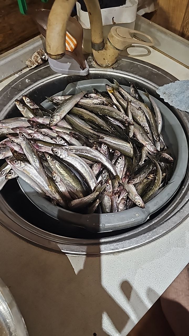 Сахалинские рыбаки с первыми холодами вышли на подледный лов Сахалинские рыбаки с первыми холодами вышли на подледный лов