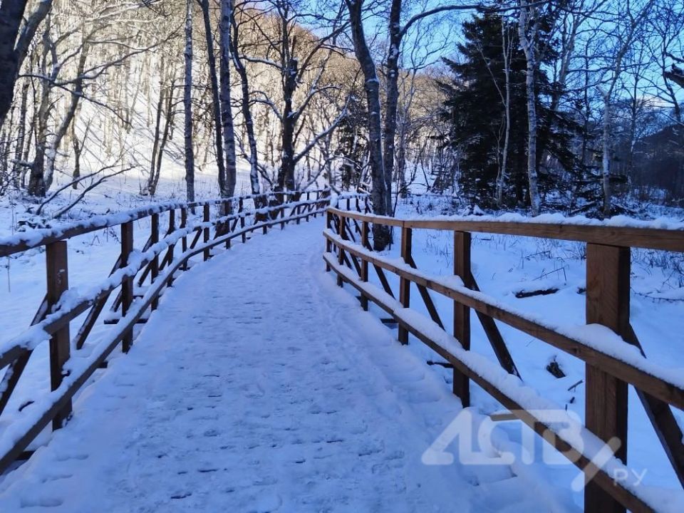 ����� �������� �� ������, � �� ������� � ����: ������� �� 10 �������