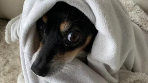 Отопление отключат в шести домах Южно-Сахалинска 9 декабря