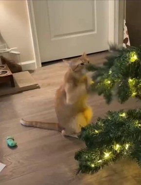 Доброе утро. Мало кто знает, но сегодняшнюю дату называют Днём оживления