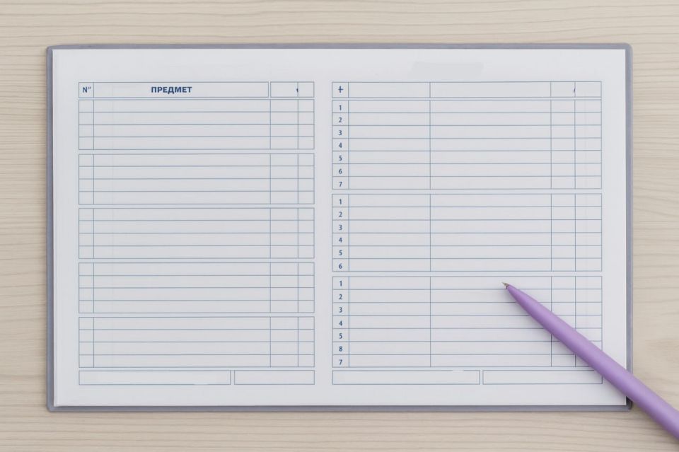 В Госдуме потребовали сделать электронные дневники бесплатными